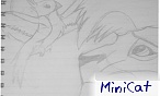 MiniCat