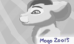 Mogo Zoo13