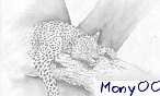 mony003