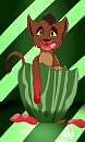 Kovu - Past�que !