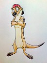 Timon - mark page