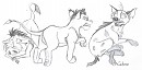D�fi AS 2 - Roi Lion Source