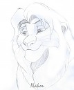 Sketch Simba pour Grey wolf