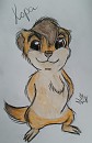 Kopa (Badger version)