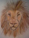 More realistic Simba