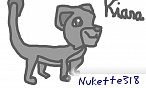 nukette.