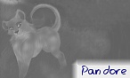 pandore
