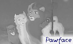 pawface