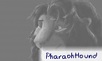 PharaohHound PharaohHound