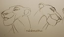 Sarabi practice sketches