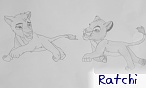 ratchi