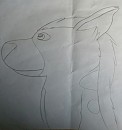 B�b� Janja