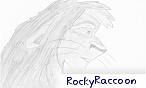 RockyRaccoon
