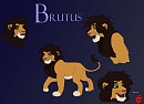 Detail Brutus~