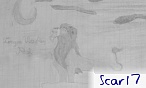 Scar17