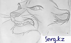 Serg.kz