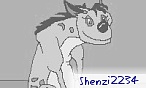 Shenzi2234