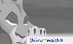 shiiru_maisha