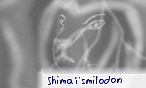 Shima� smilodon