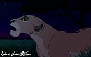 Zira's Stars