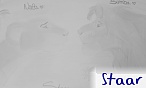 Staar