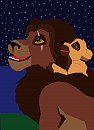 Star gazing