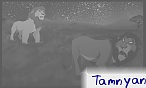 Tamnyan Tamnyan
