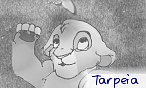 tarpeia
