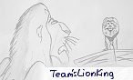 Team'