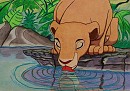 Nala drinking
