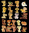 Canyon Cubs