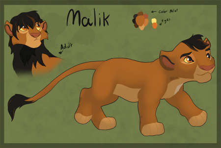 Detail Malik