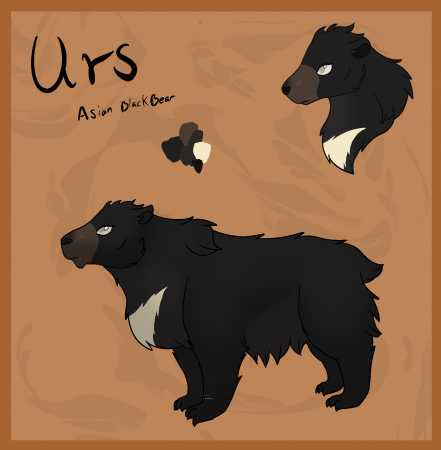 Detail Urs