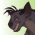 Shenzi