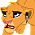 Kamy