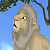 Kima (LF)