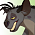 Shenzi