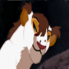 Nira*awolf*