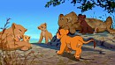 The Lion family is together