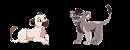 Adoptions