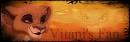 Vitani Signature 