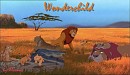 Wonderchild