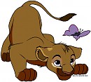 Cub 3 out of 3 Adoptable 