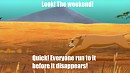 Look! The weekend!