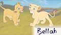 Bellah