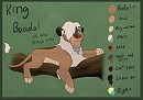 Baadals ref
