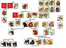 LK familly tree