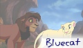 Bluecat