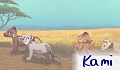 Kami