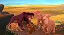 kovu n'aime pas nala